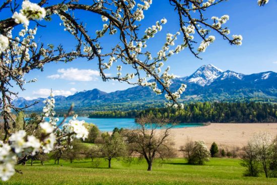 Frühling Faaker See 2017