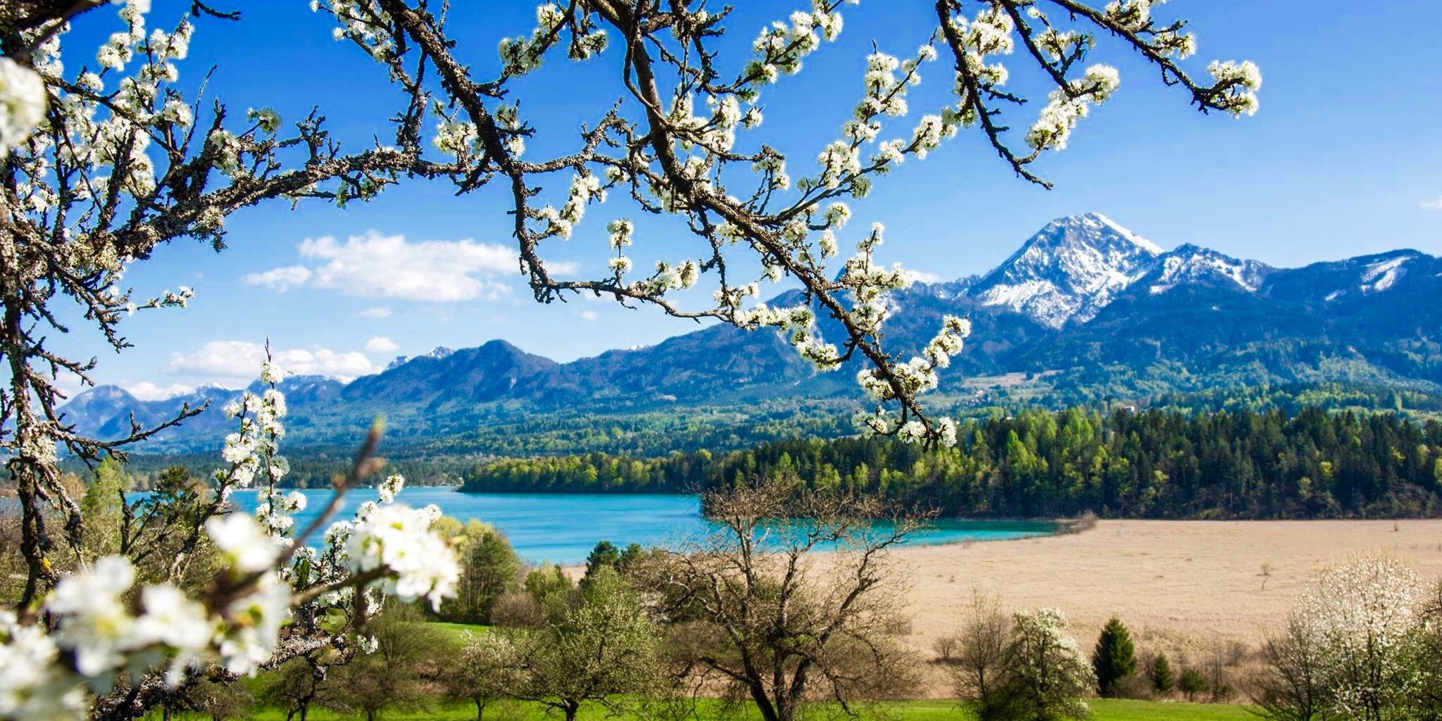 Frühling Faaker See 2017
