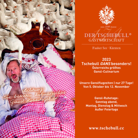 HTS Aviso Gansl 2023 Inserat FB.indd