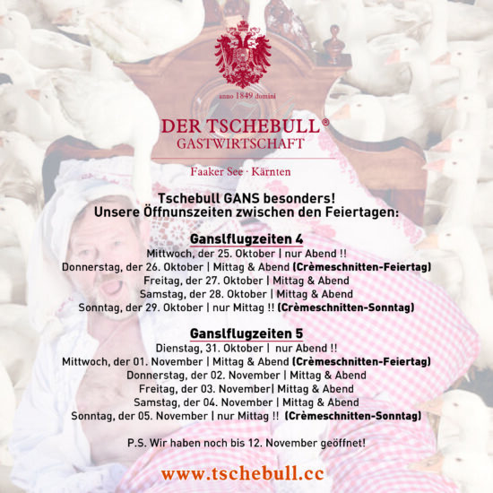 HTS Öffnungszeiten GANSL.indd